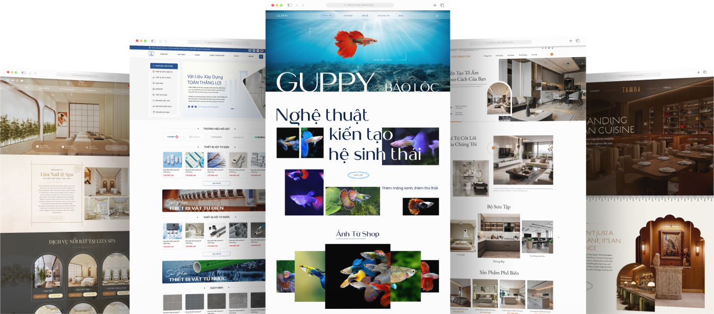 Other website design collection